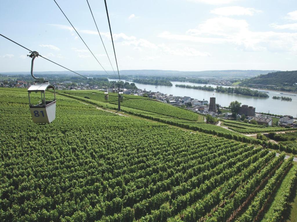 Hotel Felsenkeller Rüdesheim am Rhein Exterior foto