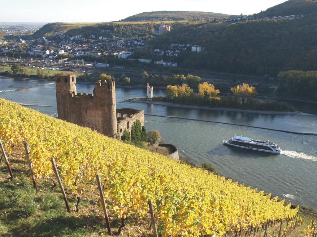 Hotel Felsenkeller Rüdesheim am Rhein Exterior foto